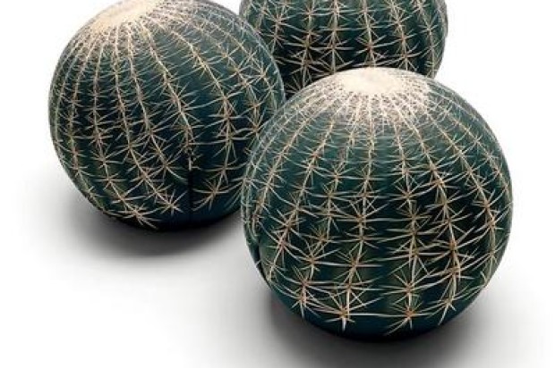 The novelty of Cerruti Baleri presented at the last Maison & Objet