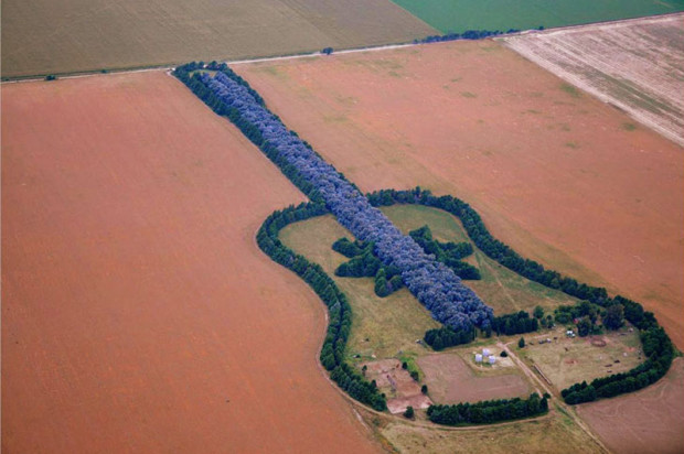 Argentina: seven thousand trees for the guitar of Graciela Pedro
