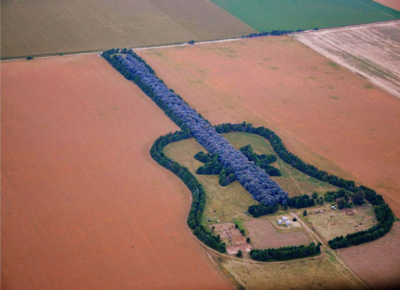 Argentina: seven thousand trees for the guitar of Graciela Pedro