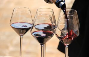 Italian Wines – Basics of Wine Tasting in Italy
