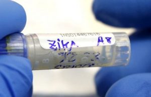 Microsoft Testing High-Tech Mosquito Trap to Fight Zika Virus